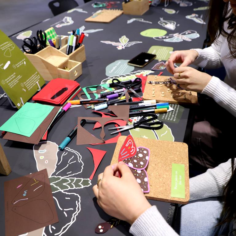 Students crafting moths on colourful paper